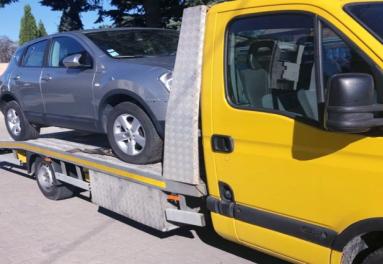 Skica Company Agata Ignasiak