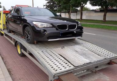 YELLOW BULL Maciej Cegiełka